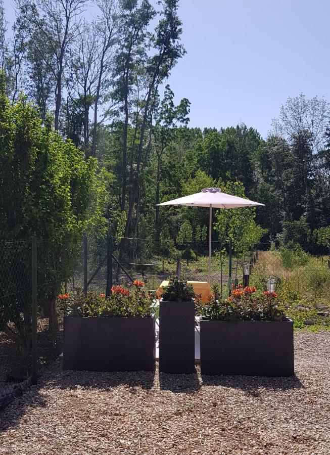Agreable Petite Maison Proche Joigny Chamvres Екстер'єр фото